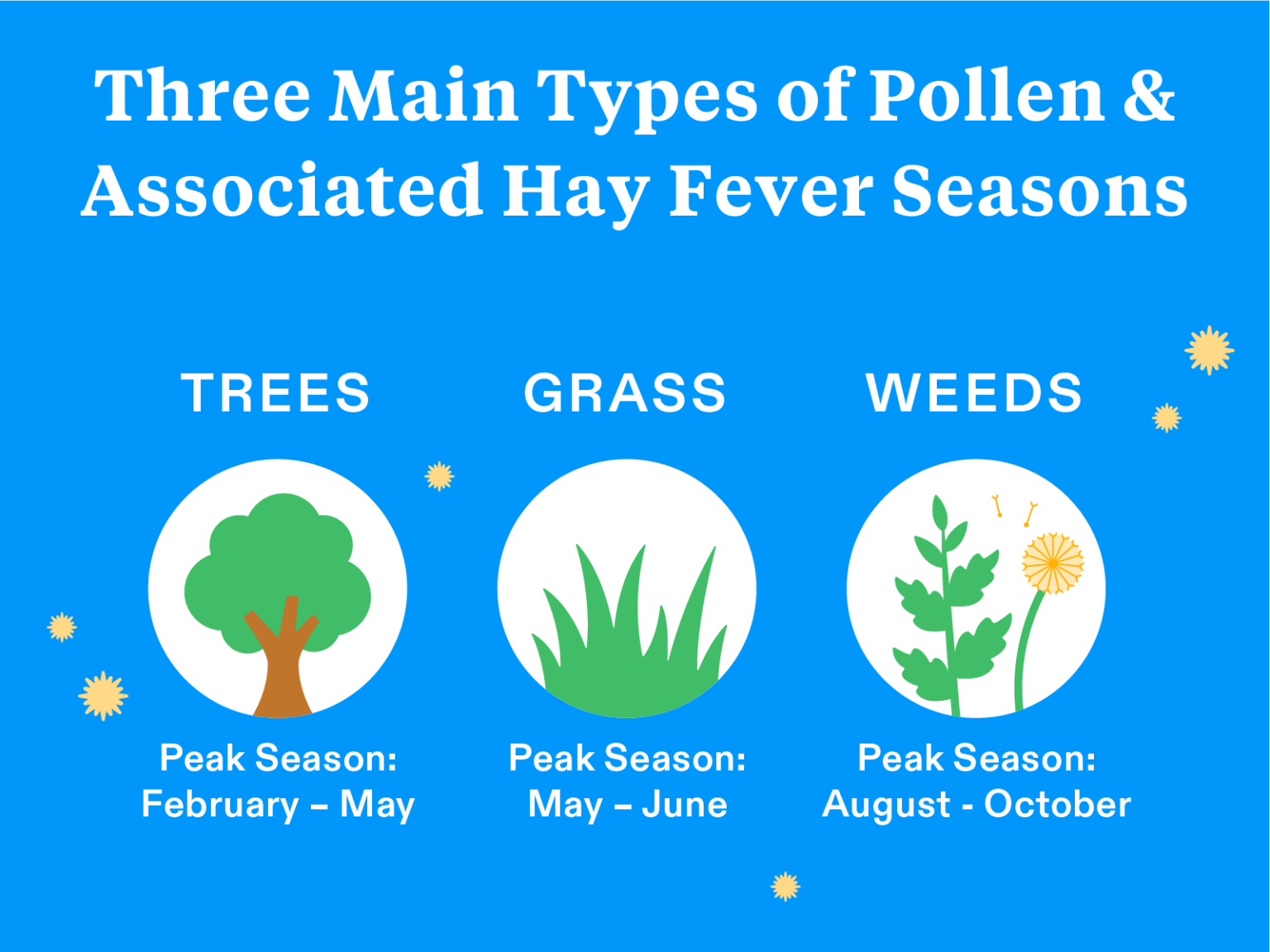 Hay Fever Season